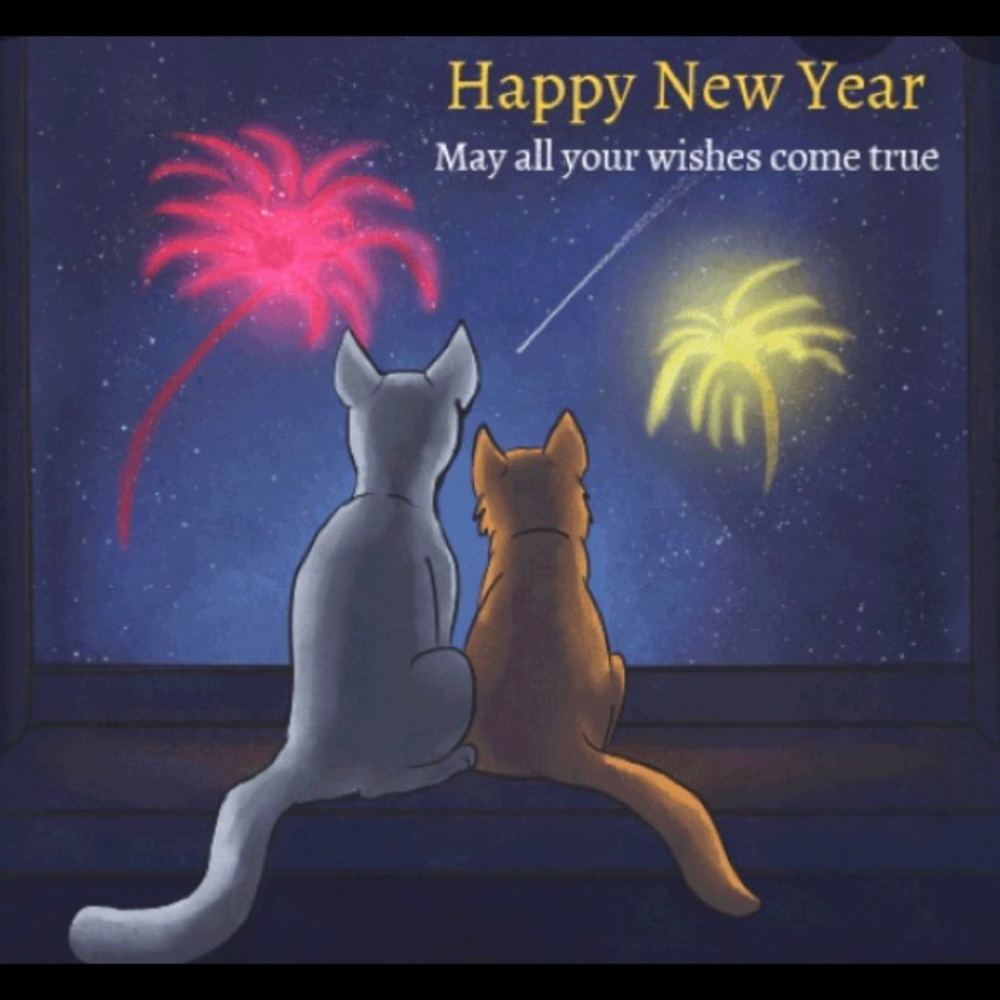 Happy New Year!!